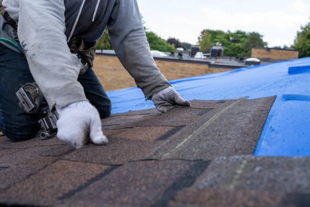 Best Roof Insulation Installation  in Rock Hill, NY